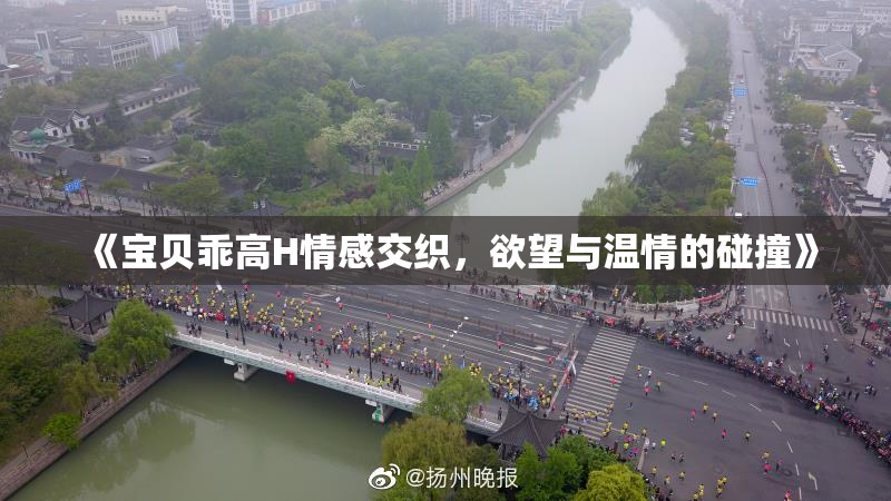 《宝贝乖高H情感交织，欲望与温情的碰撞》