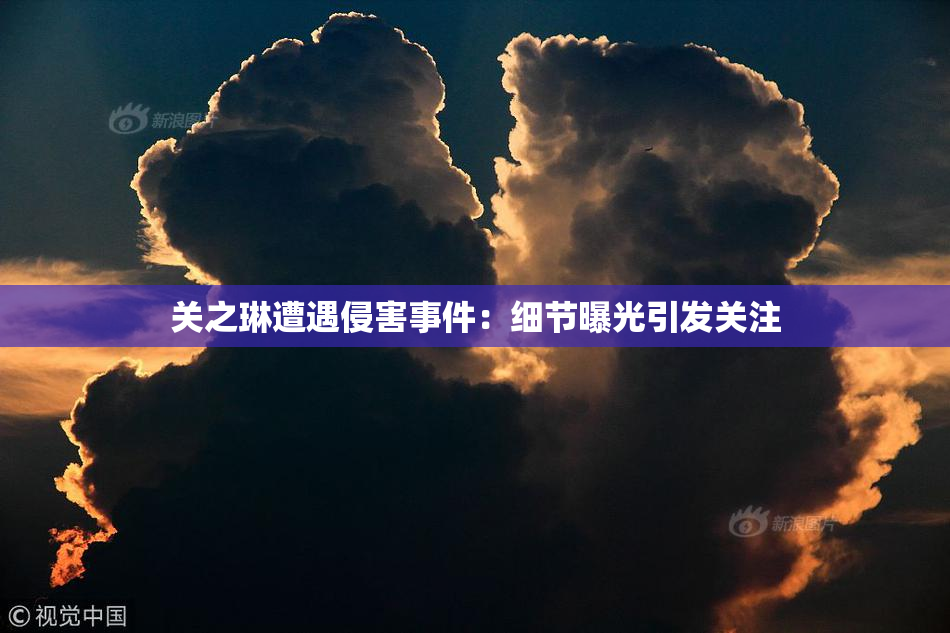 关之琳遭遇侵害事件：细节曝光引发关注
