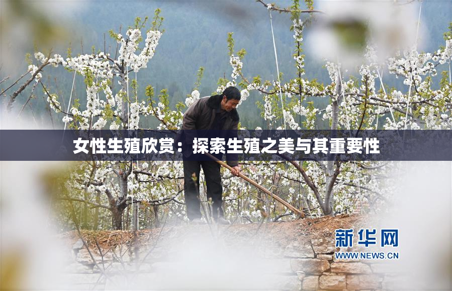 女性生殖欣赏：探索生殖之美与其重要性