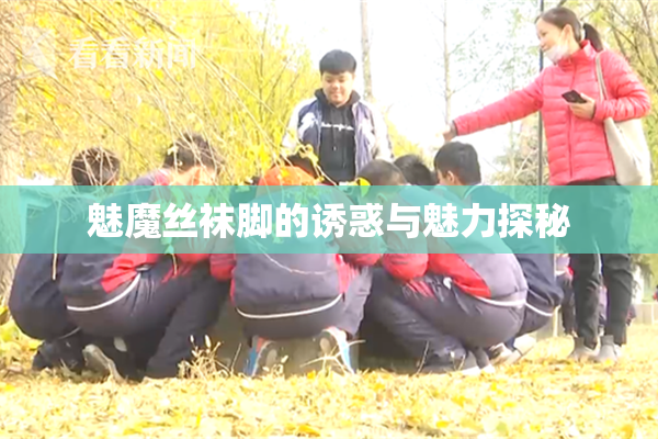 魅魔丝袜脚的诱惑与魅力探秘