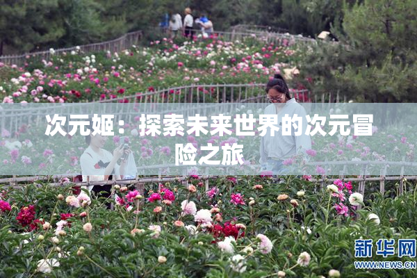 次元姬：探索未来世界的次元冒险之旅