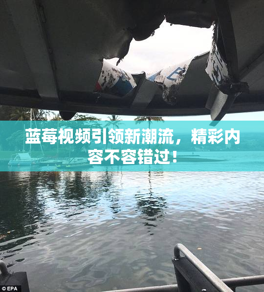 蓝莓视频引领新潮流，精彩内容不容错过！