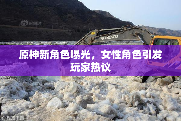 原神新角色曝光，女性角色引发玩家热议