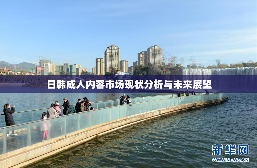 日韩成人内容市场现状分析与未来展望
