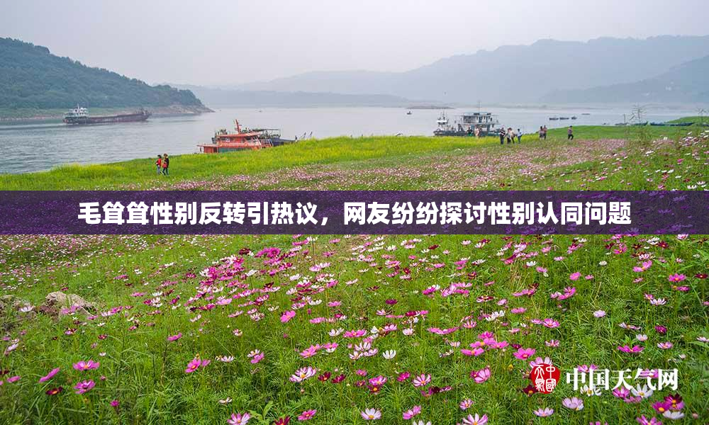 毛耸耸性别反转引热议，网友纷纷探讨性别认同问题
