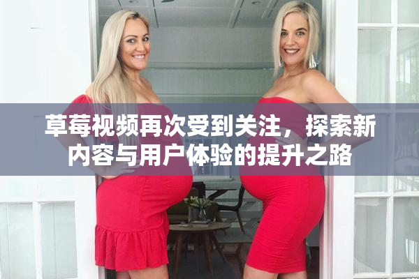 草莓视频再次受到关注，探索新内容与用户体验的提升之路