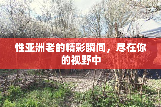 性亚洲老的精彩瞬间，尽在你的视野中