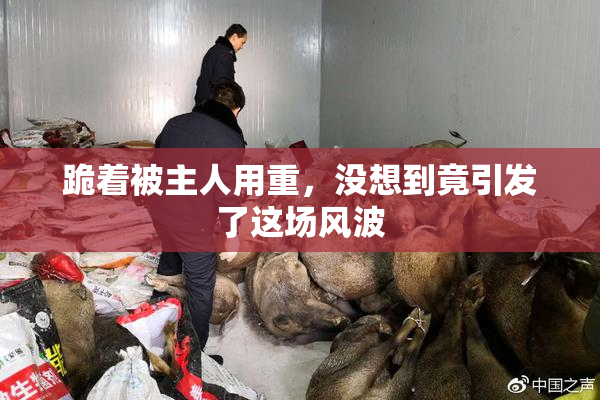 跪着被主人用重，没想到竟引发了这场风波