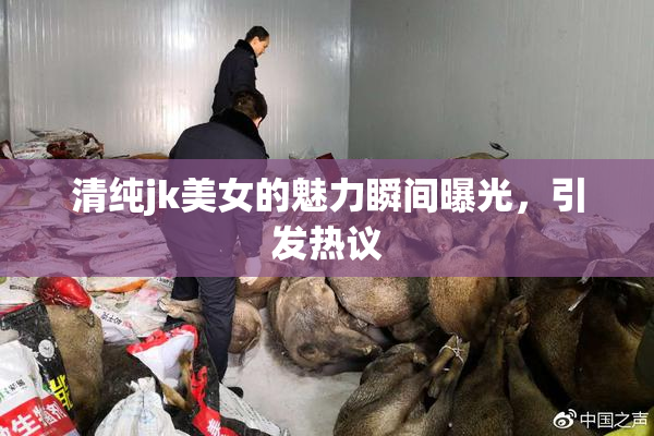 清纯jk美女的魅力瞬间曝光，引发热议