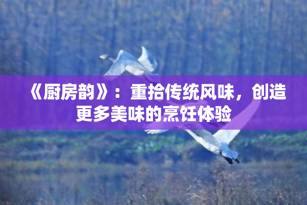 《厨房韵》：重拾传统风味，创造更多美味的烹饪体验