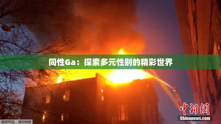 同性Ga：探索多元性别的精彩世界