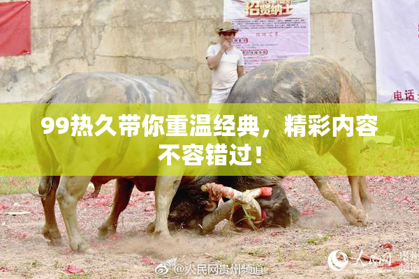99热久带你重温经典，精彩内容不容错过！