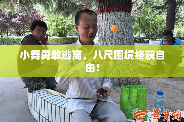 小舞勇敢逃离，八尺困境终获自由！