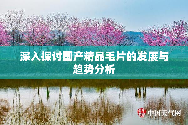 深入探讨国产精品毛片的发展与趋势分析
