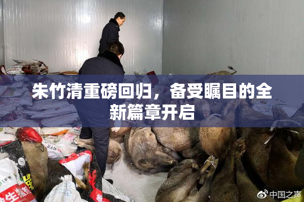 朱竹清重磅回归，备受瞩目的全新篇章开启