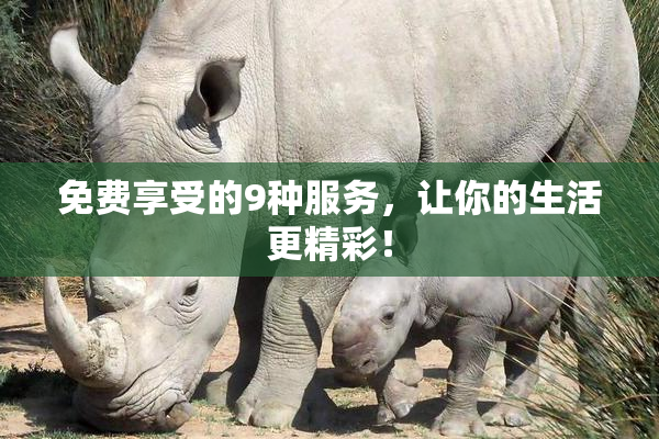 免费享受的9种服务，让你的生活更精彩！
