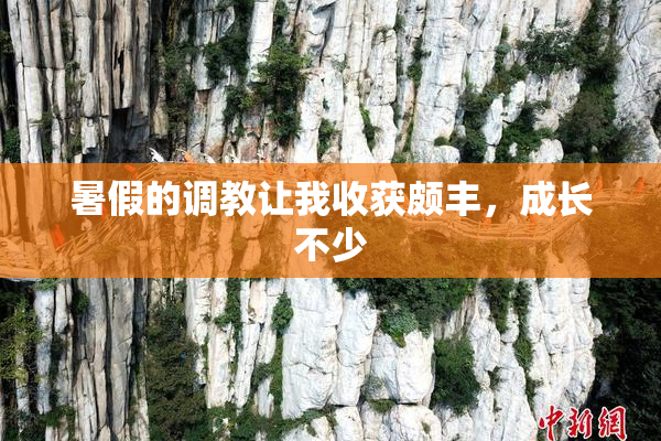 暑假的调教让我收获颇丰，成长不少