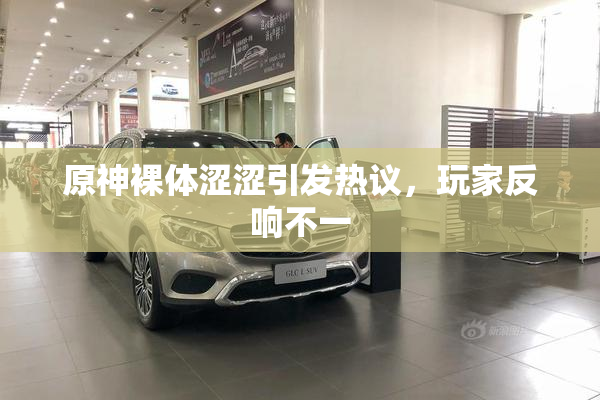 原神裸体涩涩引发热议，玩家反响不一
