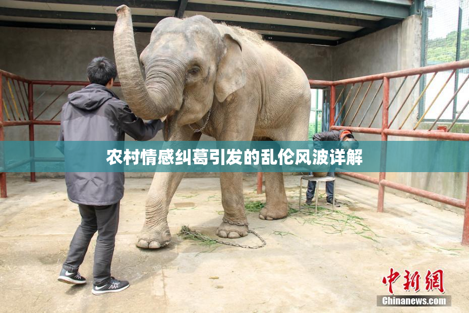 农村情感纠葛引发的乱伦风波详解