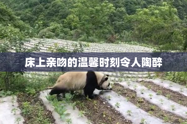 床上亲吻的温馨时刻令人陶醉