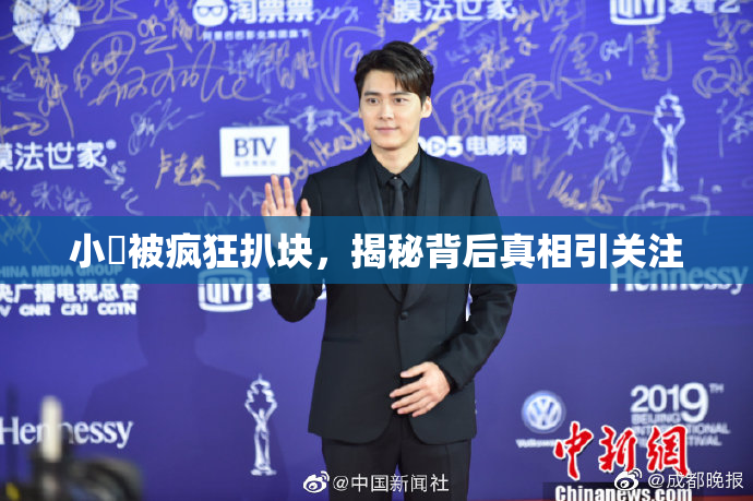小泬被疯狂扒块，揭秘背后真相引关注