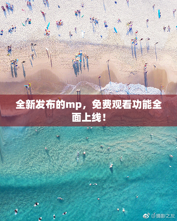 全新发布的mp，免费观看功能全面上线！