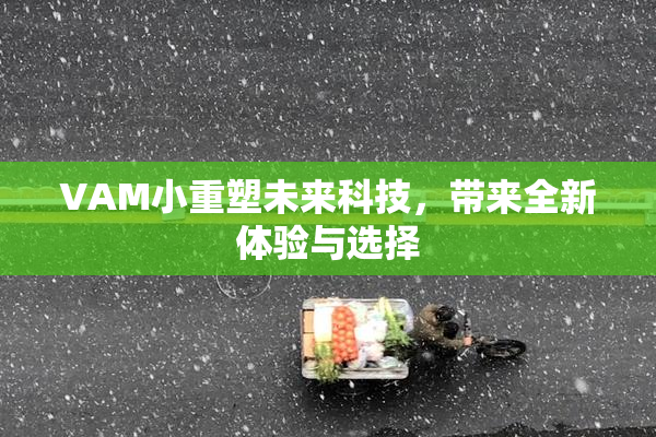 VAM小重塑未来科技，带来全新体验与选择