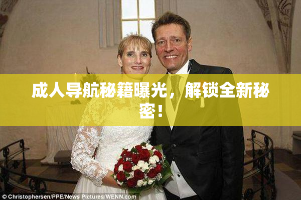 成人导航秘籍曝光，解锁全新秘密！