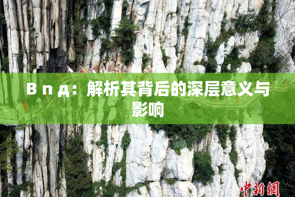 B n д：解析其背后的深层意义与影响