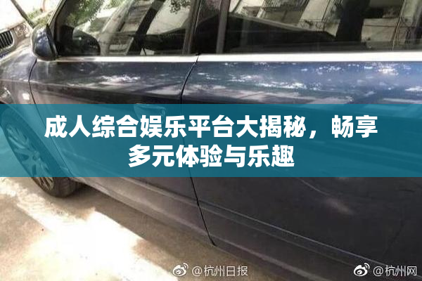 成人综合娱乐平台大揭秘，畅享多元体验与乐趣