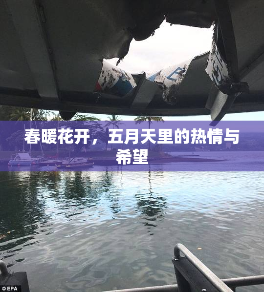 春暖花开，五月天里的热情与希望