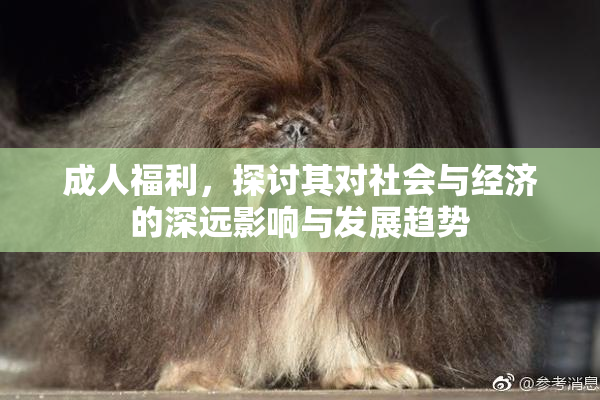 成人福利，探讨其对社会与经济的深远影响与发展趋势