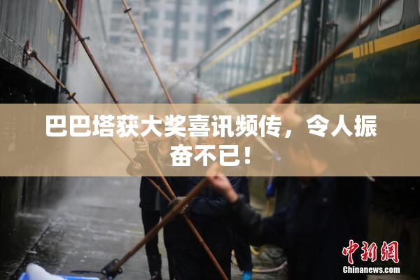 巴巴塔获大奖喜讯频传，令人振奋不已！