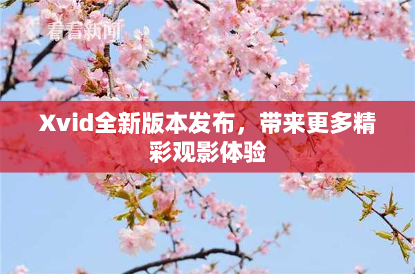 Xvid全新版本发布，带来更多精彩观影体验