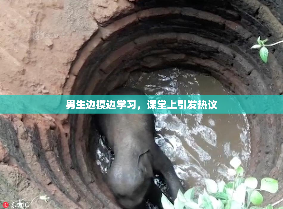 男生边摸边学习，课堂上引发热议