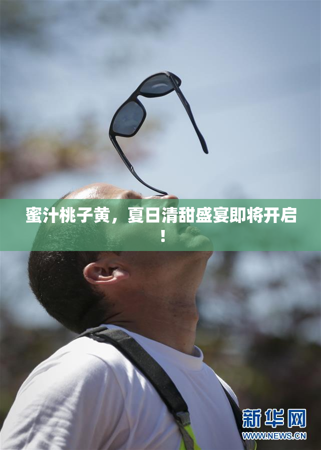 蜜汁桃子黄，夏日清甜盛宴即将开启！