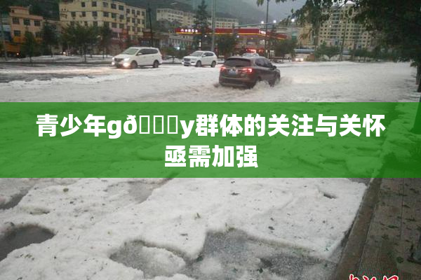 青少年g🈚y群体的关注与关怀亟需加强
