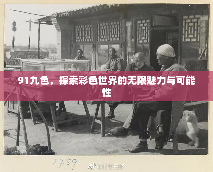 91九色，探索彩色世界的无限魅力与可能性