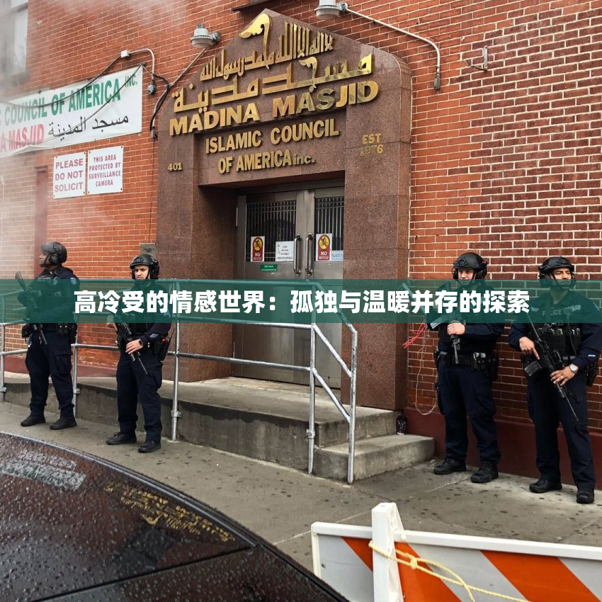 高冷受的情感世界：孤独与温暖并存的探索