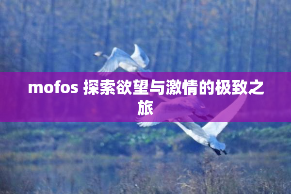 mofos 探索欲望与激情的极致之旅