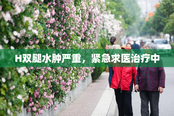 H双腿水肿严重，紧急求医治疗中