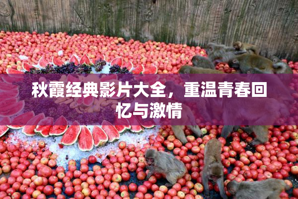 秋霞经典影片大全，重温青春回忆与激情
