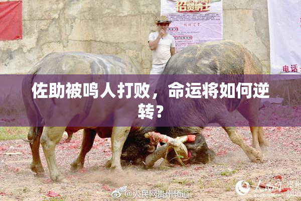 佐助被鸣人打败，命运将如何逆转？
