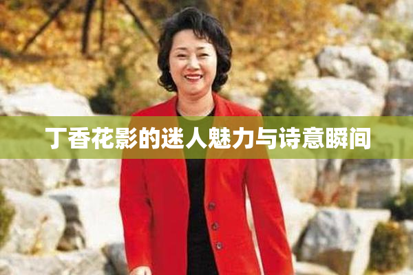 丁香花影的迷人魅力与诗意瞬间