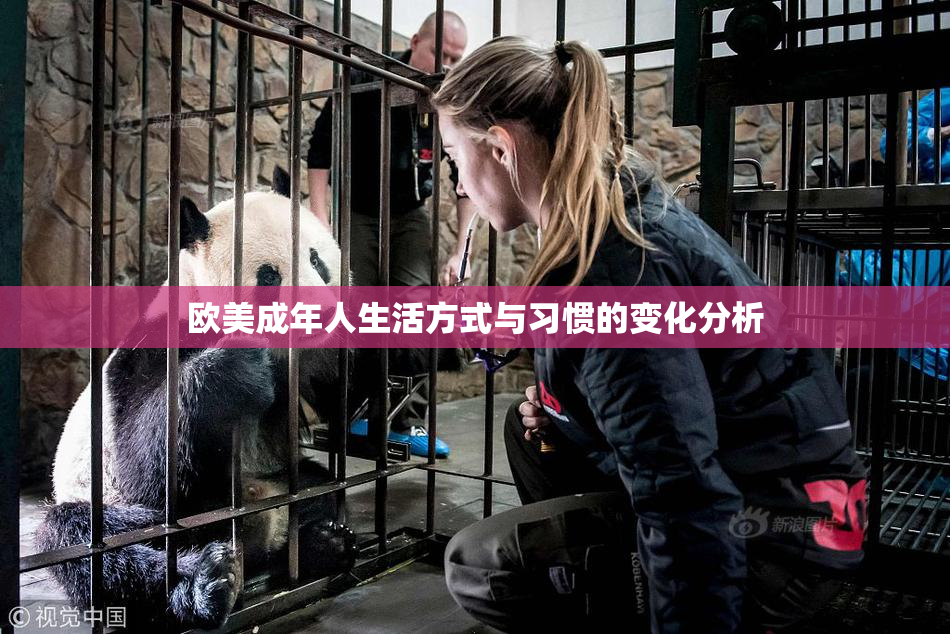 欧美成年人生活方式与习惯的变化分析