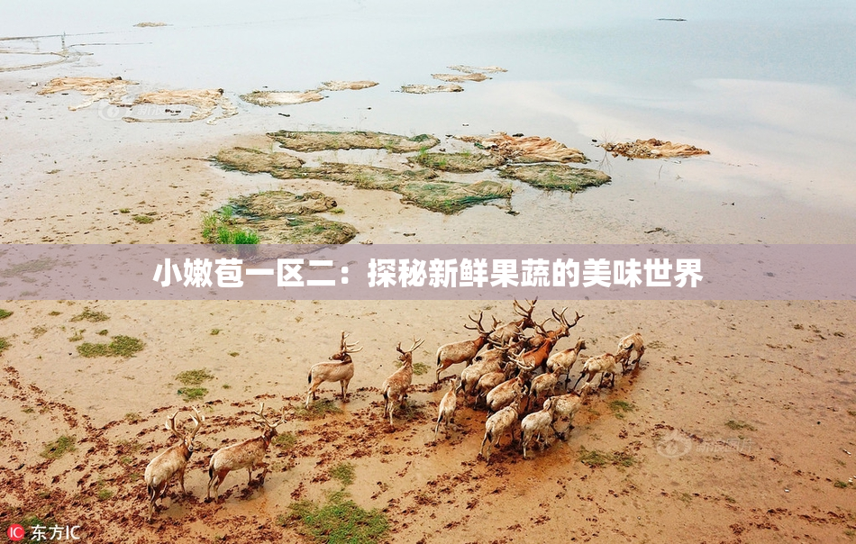 小嫩苞一区二：探秘新鲜果蔬的美味世界