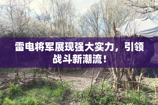 雷电将军展现强大实力，引领战斗新潮流！