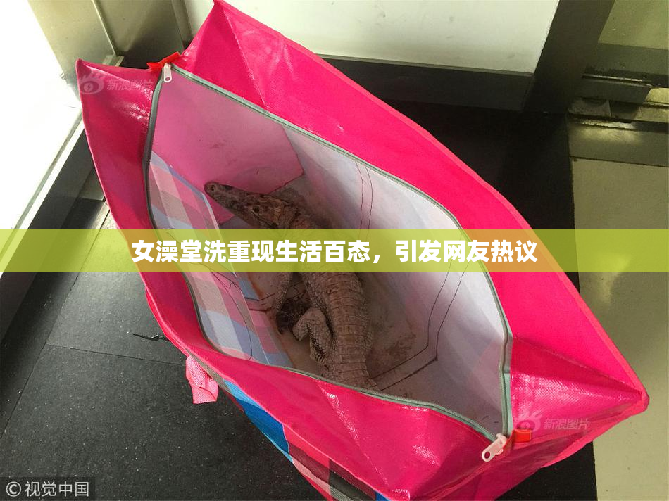 女澡堂洗重现生活百态，引发网友热议