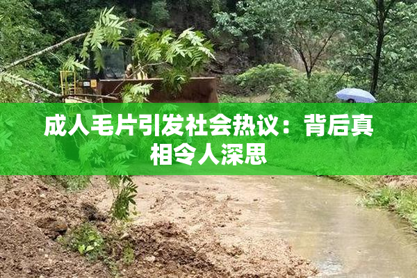 成人毛片引发社会热议：背后真相令人深思