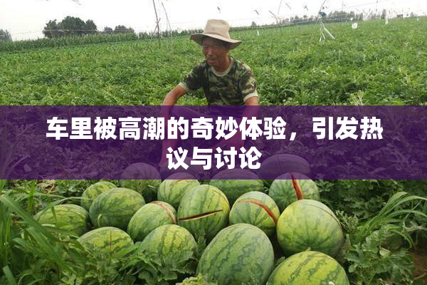 车里被高潮的奇妙体验，引发热议与讨论